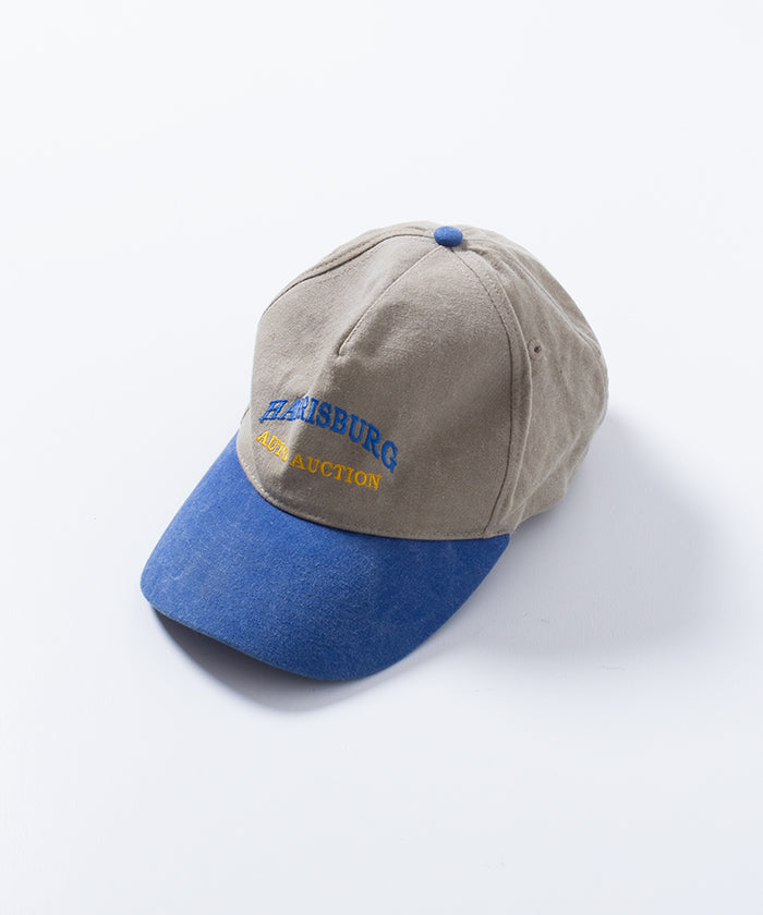 VINTAGE USA CAP HARRISBURG