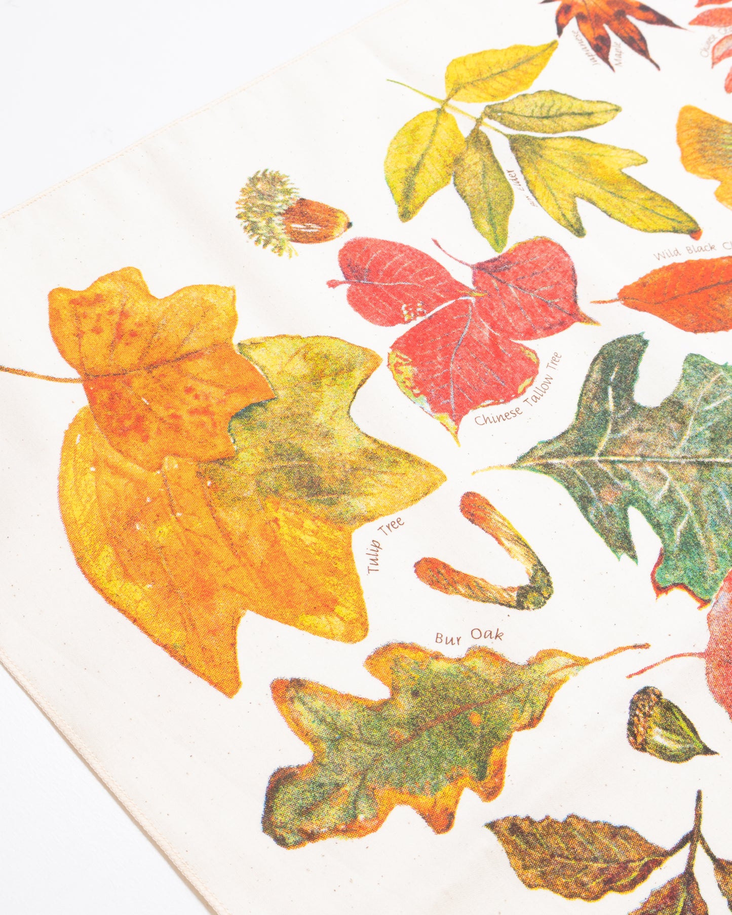 【The Printed Image】NATURE PRINT BANDANNA FALL LEAVES / プリンテッドイメージ ネイチャー プリント バンダナ ハンカチ フォールリーブス アメリカ製 2026AW 2026秋冬 正規取扱店 神奈川 鎌倉 ARZACH KAMAKURA オンラインショップ 通販
