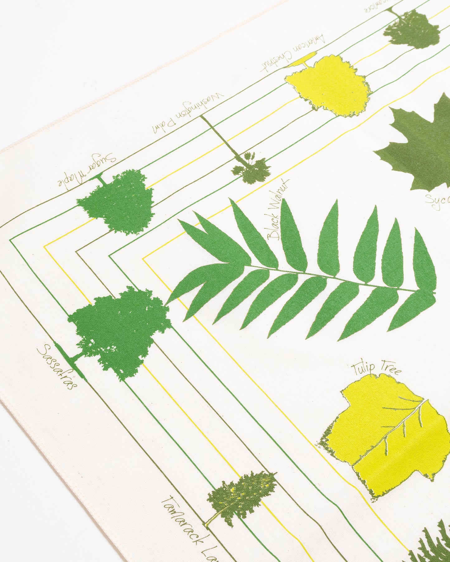 【The Printed Image】NATURE PRINT BANDANNA TREES OF NORTH AMERICA / プリンテッドイメージ ネイチャー プリント バンダナ ハンカチ ツリーズ オブ ノースアメリカ アメリカ製 2026AW 2026秋冬 正規取扱店 神奈川 鎌倉 アルザック鎌倉 オンラインショップ 通販