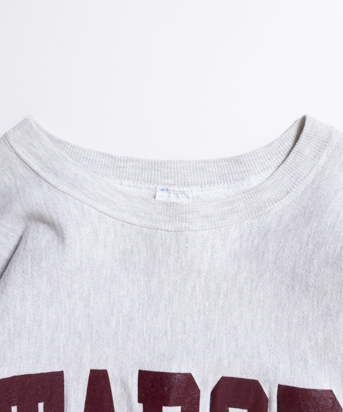1990's CHAMPION REVERSE WEAVE SWEATSHIRT MADE IN USA TABOR - A'r139 Kamakura