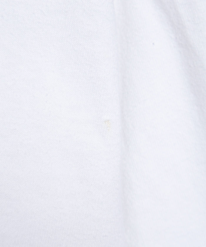 1990's HANES TEE SOFTEACH APPLE