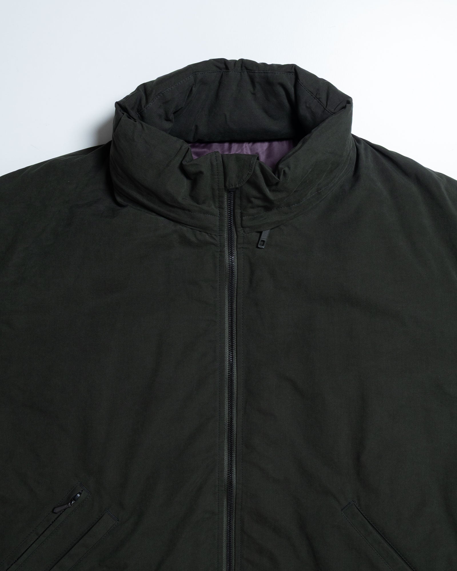 NEEDLES HOODED DOWN SUR COAT GREEN スタンドカラー 首元 フード収納 ディテール