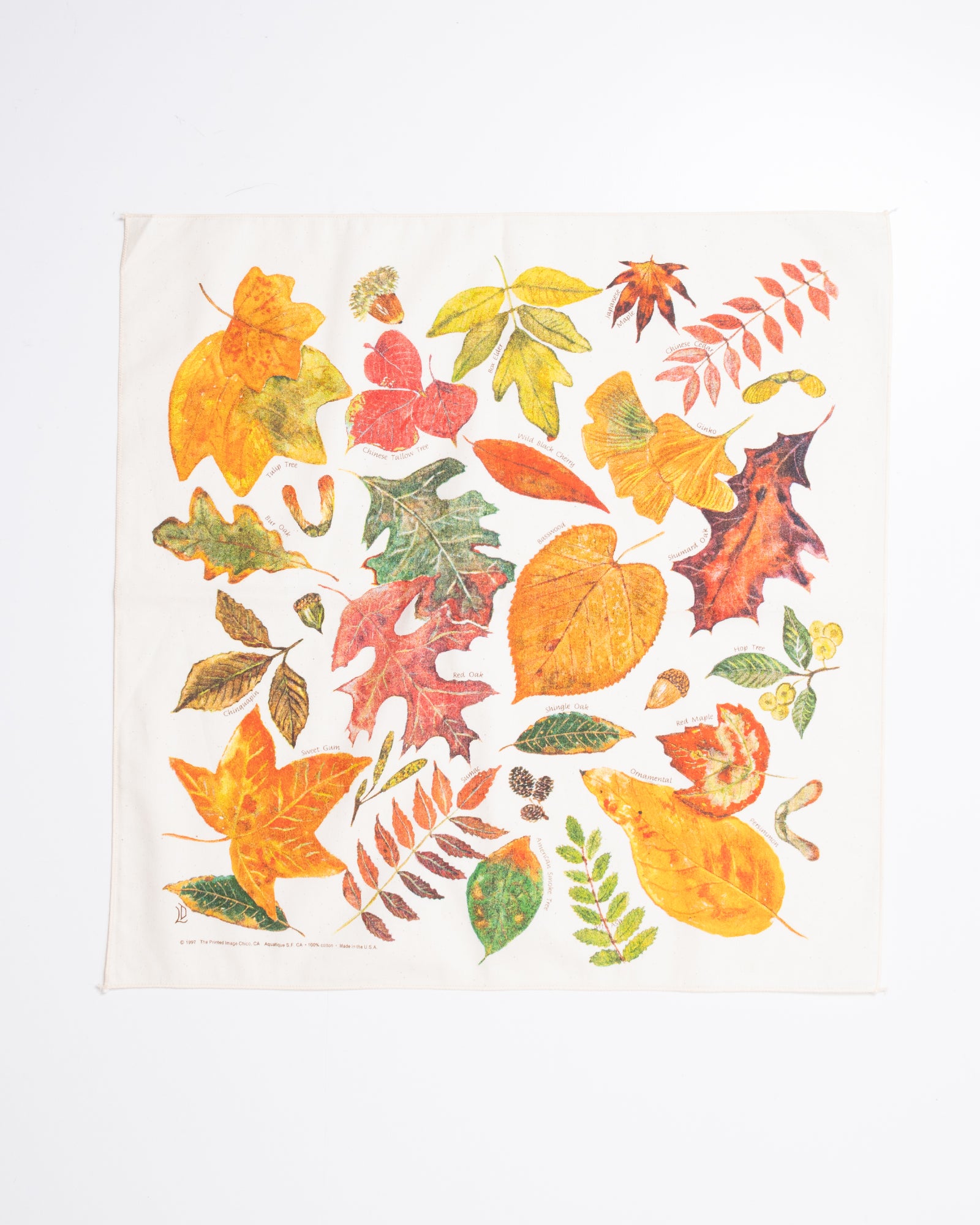 【The Printed Image】NATURE PRINT BANDANNA  FALL LEAVES / プリンテッドイメージ ネイチャー プリント バンダナ ハンカチ フォールリーブス アメリカ製 2026AW 2026秋冬 正規取扱店 神奈川 鎌倉 ARZACH KAMAKURA オンラインショップ 通販