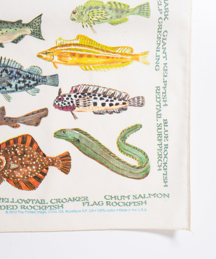 【The Printed Image】NATURE PRINT BANDANNA PACIFIC COAST FISHES / プリンテッドイメージ ネイチャー プリント バンダナ ハンカチ パシフィックコーストフィッシズ 魚柄 アメリカ製 正規取扱店 神奈川 鎌倉 2026ss 2026春夏