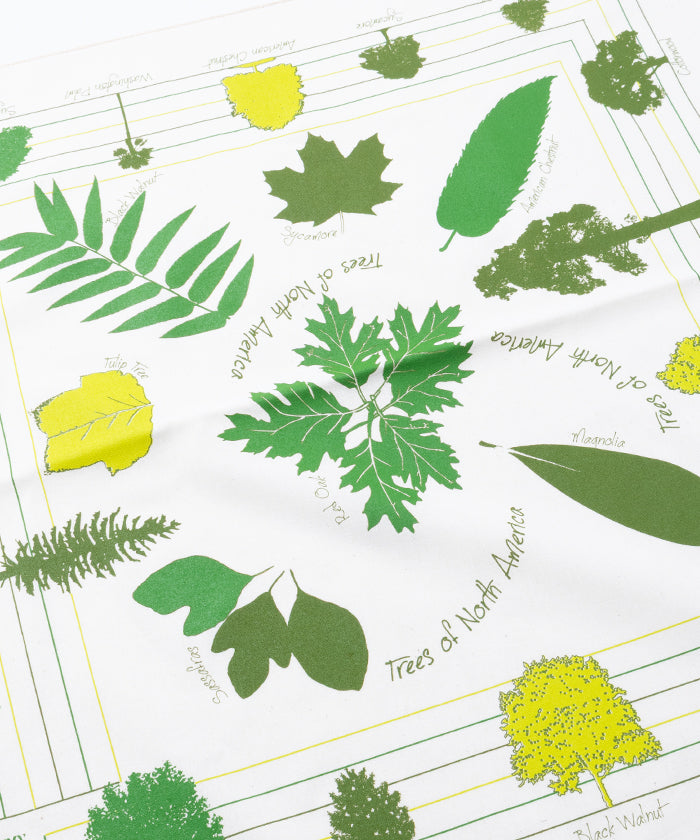 【The Printed Image】NATURE PRINT BANDANNA TREES OF NORTH AMERICA / プリンテッドイメージ ネイチャー プリント バンダナ ツリーズオブノースアメリカ アメリカ製 正規取扱店 神奈川鎌倉 ハンカチ