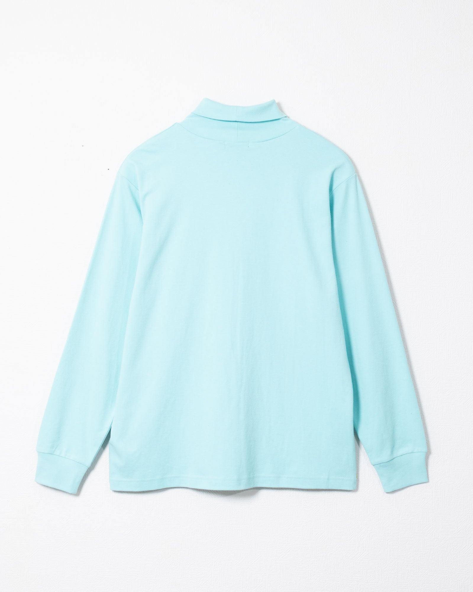 DRESS PLAIN COTTON TURTLENECK T.BLUE バックスタイル